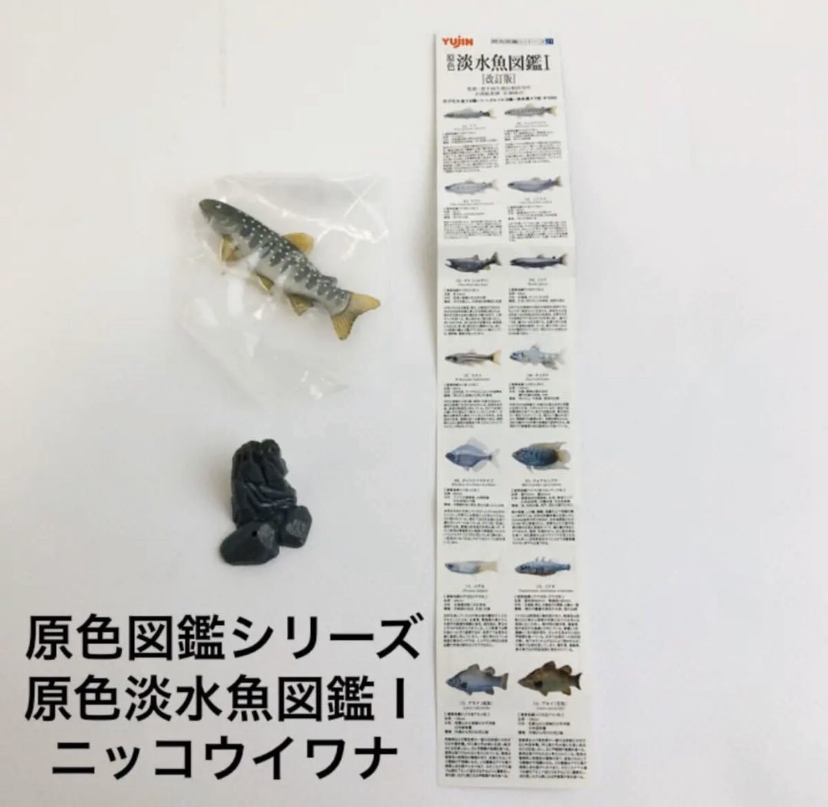 yujin原色淡水魚図鑑Ⅰ全64種+ミニブック+台紙