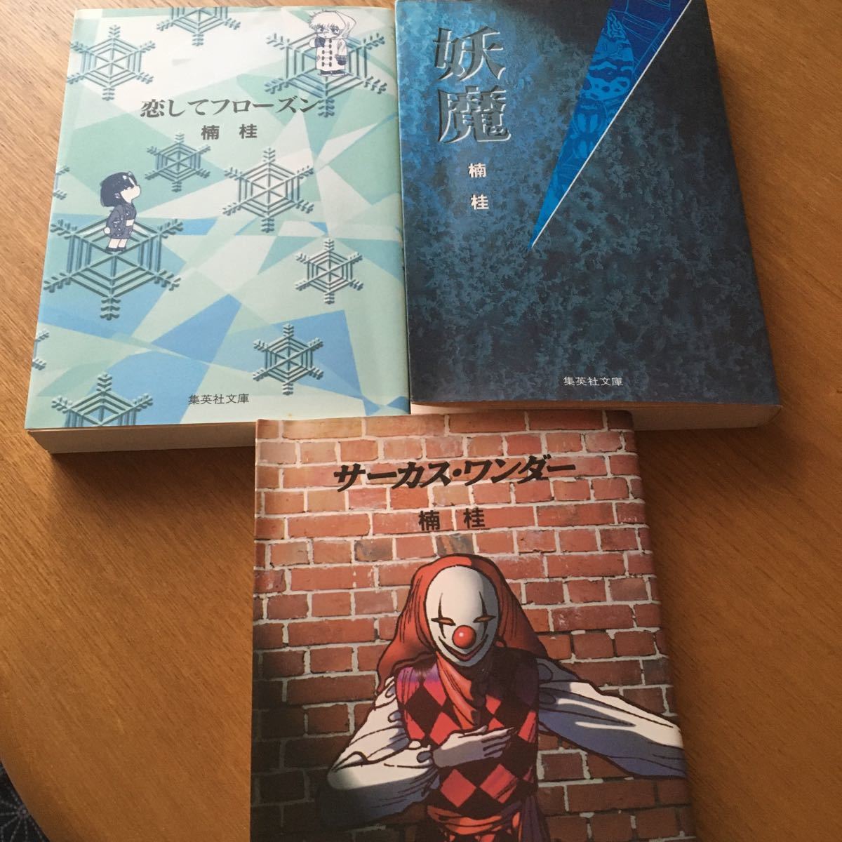 初版】サーカス・ワンダー 集英社 文庫 ☆送料￥210－☆文庫 楠