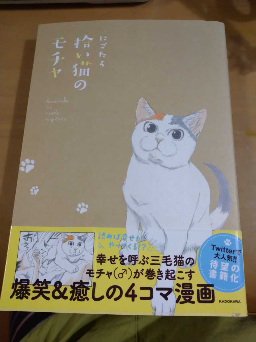 爆笑 癒しの４コママンガ 拾い猫のモチャ の落札情報詳細 ヤフオク落札価格情報 オークフリー スマートフォン版