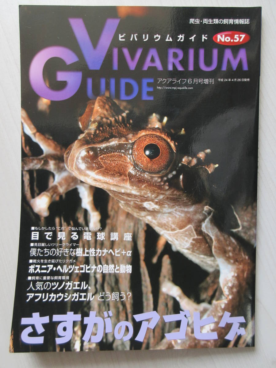 ビバリウムガイド No 57 さすがのアゴヒゲ 目で見る電球講座 樹上性カナヘビ ツノガエル アフリカウシガエル の落札情報詳細 ヤフオク落札価格情報 オークフリー スマートフォン版