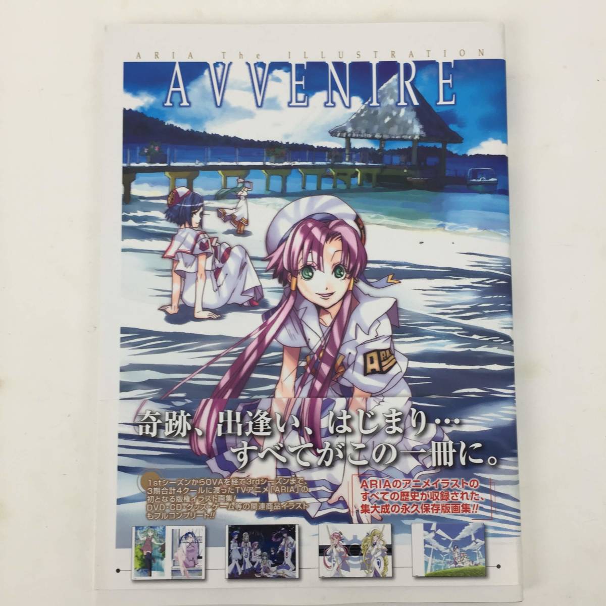 天野こずえ 画集 4冊セット Alpha Stella Cielo アリアジイラストレーション Avvenire まとめ売り 中古品 の落札情報詳細 ヤフオク落札価格情報 オークフリー スマートフォン版