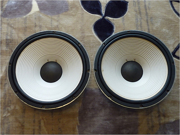 FOSTEX　40cmウーハーペア 高額買取実施中!!】FOSTEX フォステクス 40cmコーン型ウーファー