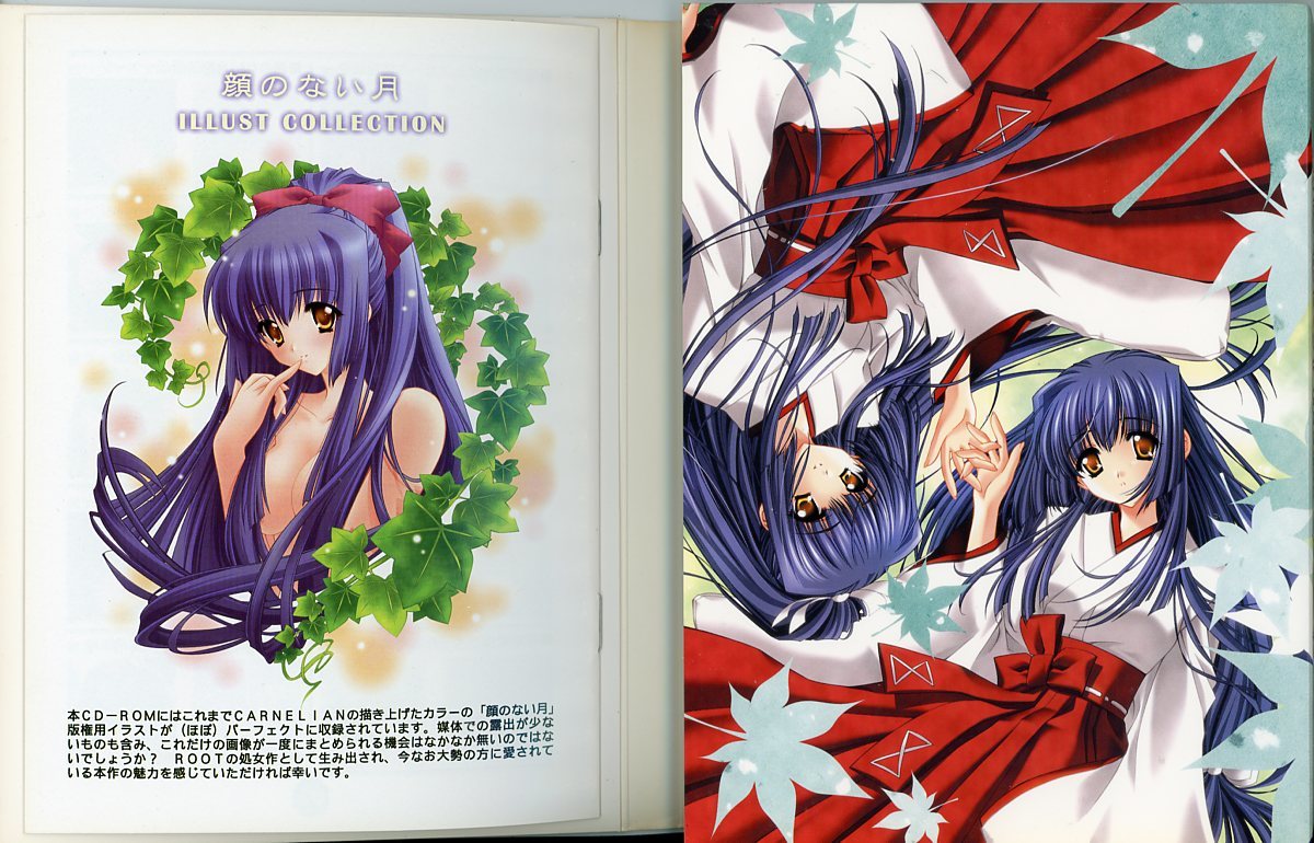 CARNELIAN/『顔のない月 ILLUST COLLECTION』/美少女PCゲームソフト