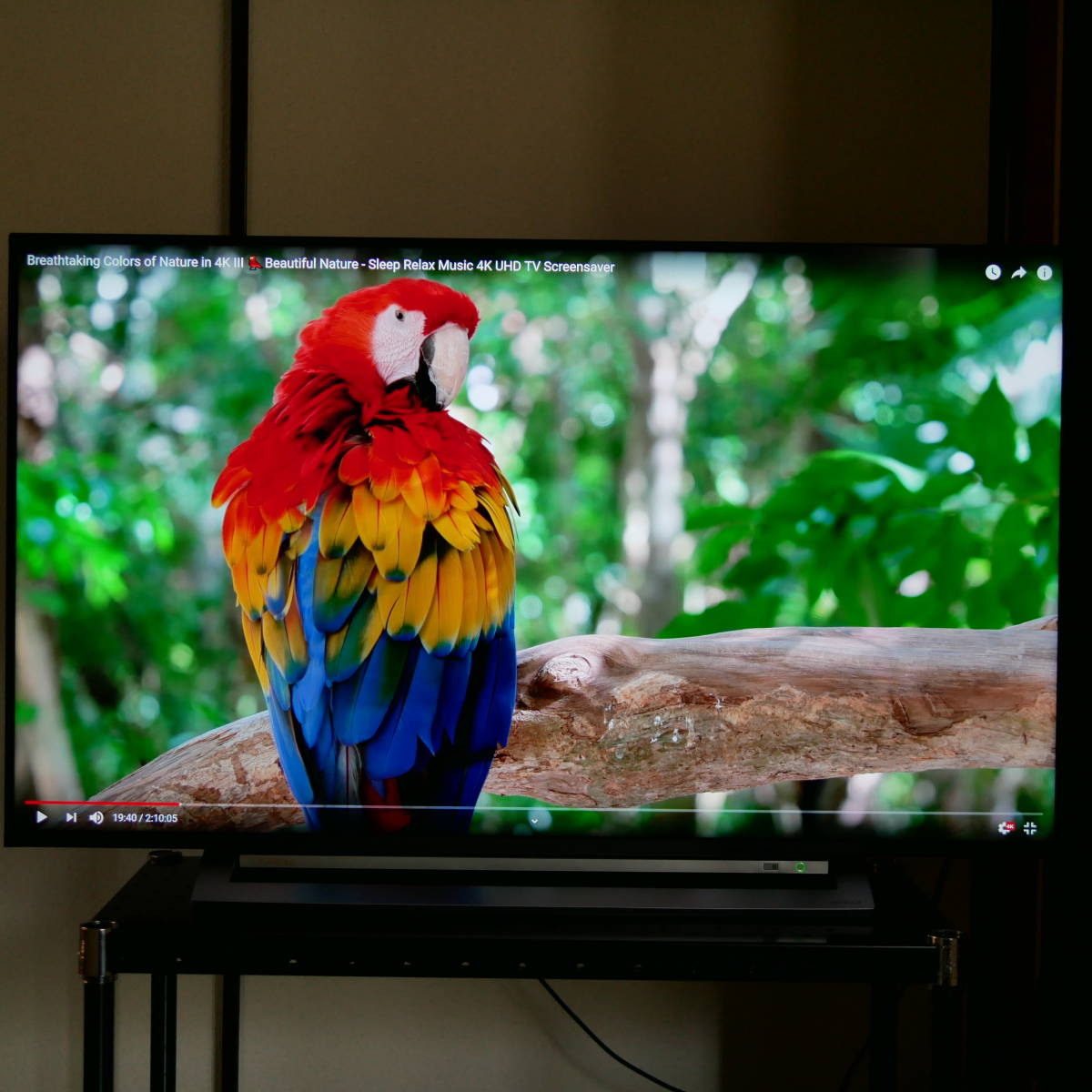 TOSHIBA 液晶テレビ 43M530X 2021年製 TOSHIBA液晶テレビ43M530X