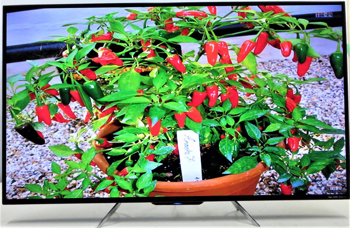 FL-55U4110　4K液晶テレビ　FUNAI フナイ　55インチ FUNAI 4K対応55型テレビ FL-55U4110
