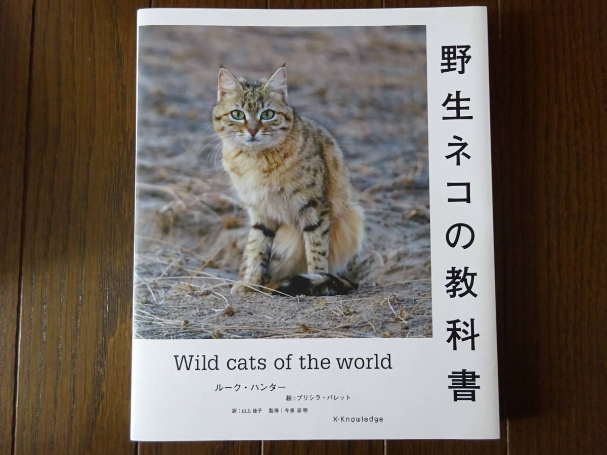 野生ネコの教科書 ルーク ハンター チーター ユキヒョウ アムールトラ マレーヤマネコ ピューマ トラ ジャガー ベンガルヤマネコ の落札情報詳細 ヤフオク落札価格情報 オークフリー スマートフォン版
