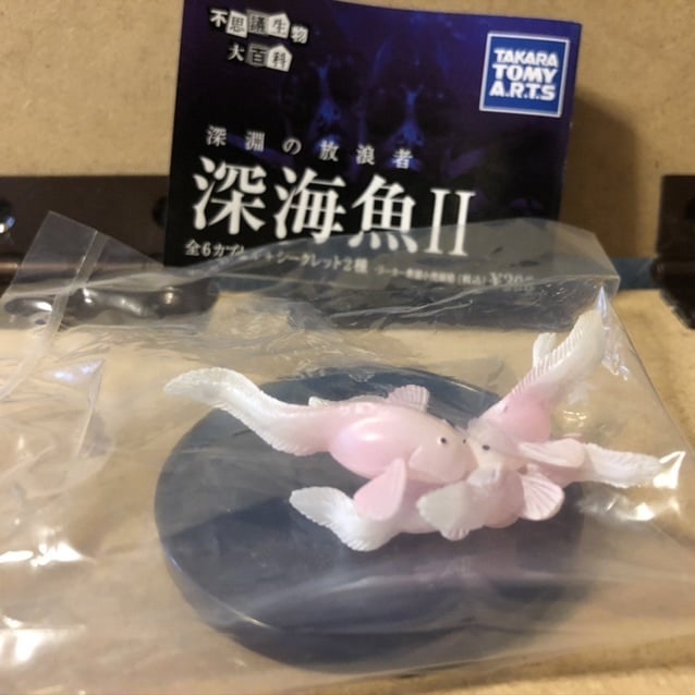 ♯LUi02DZ 不思議生物大百科 深淵の居住者 深海生物 7種 シークレット Amazon | ♯LUi02DZ不思議生物大百科深淵の居住者深海生物7種