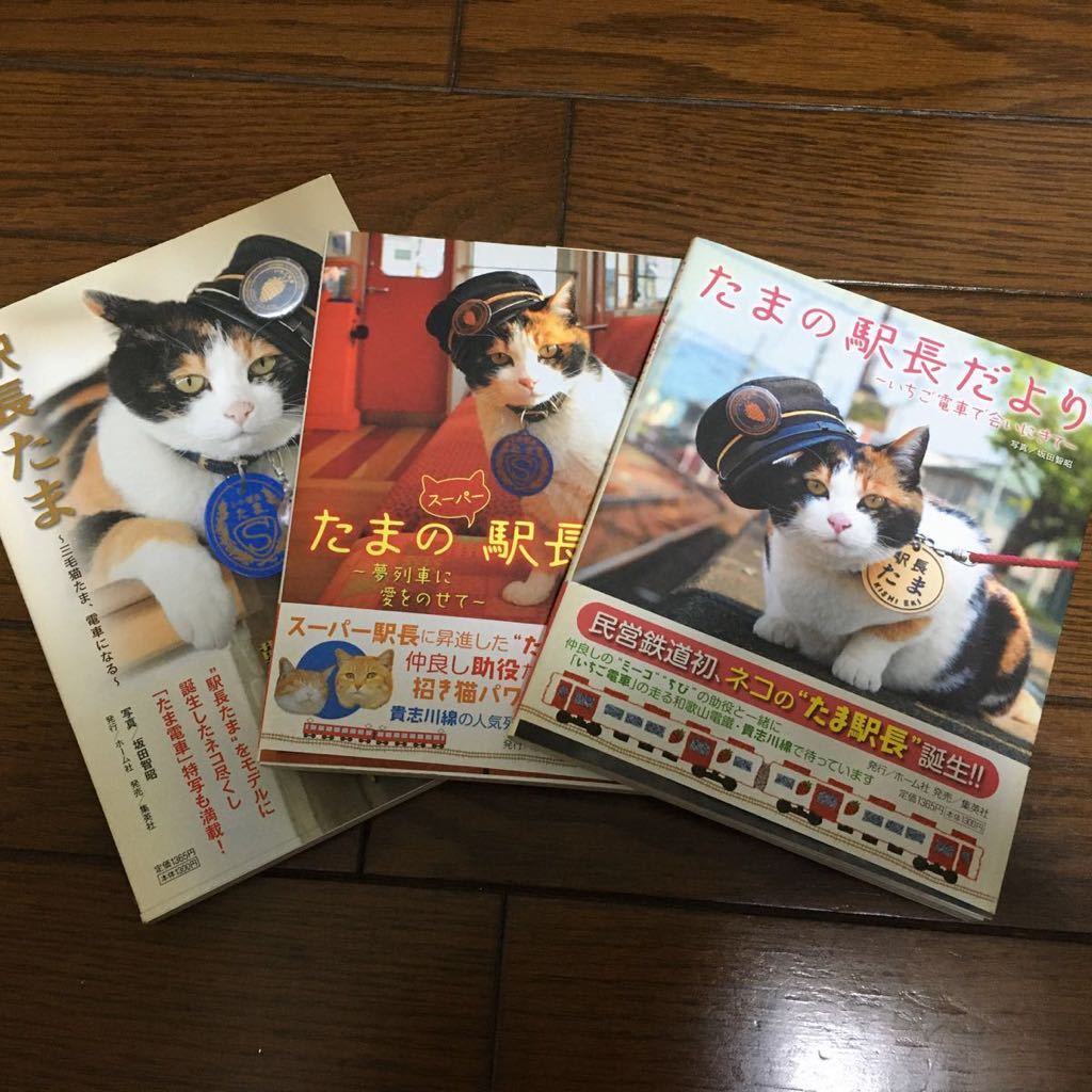 たまのスーパー駅長だより 夢列車に愛をのせて 新作 大人気