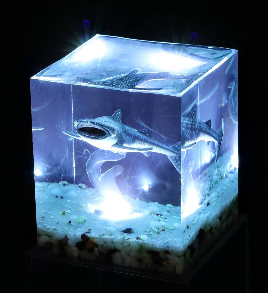 ジンベイザメのライトアップ水中ジオラマ（難あり） 制作:にご  