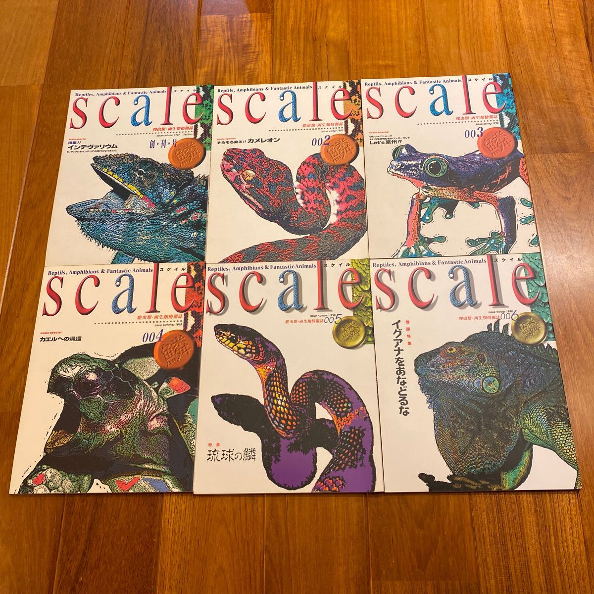 スケイル　Scale 爬虫類両生類情報誌 scale スケイル 11冊