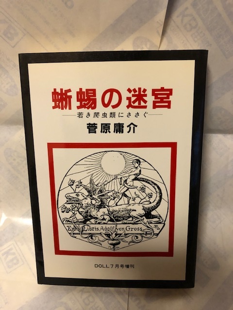 蜥蜴の迷宮 サイン入り本 菅原庸介（モモヨ） 蜥蜴の迷宮 LIZARD リザード