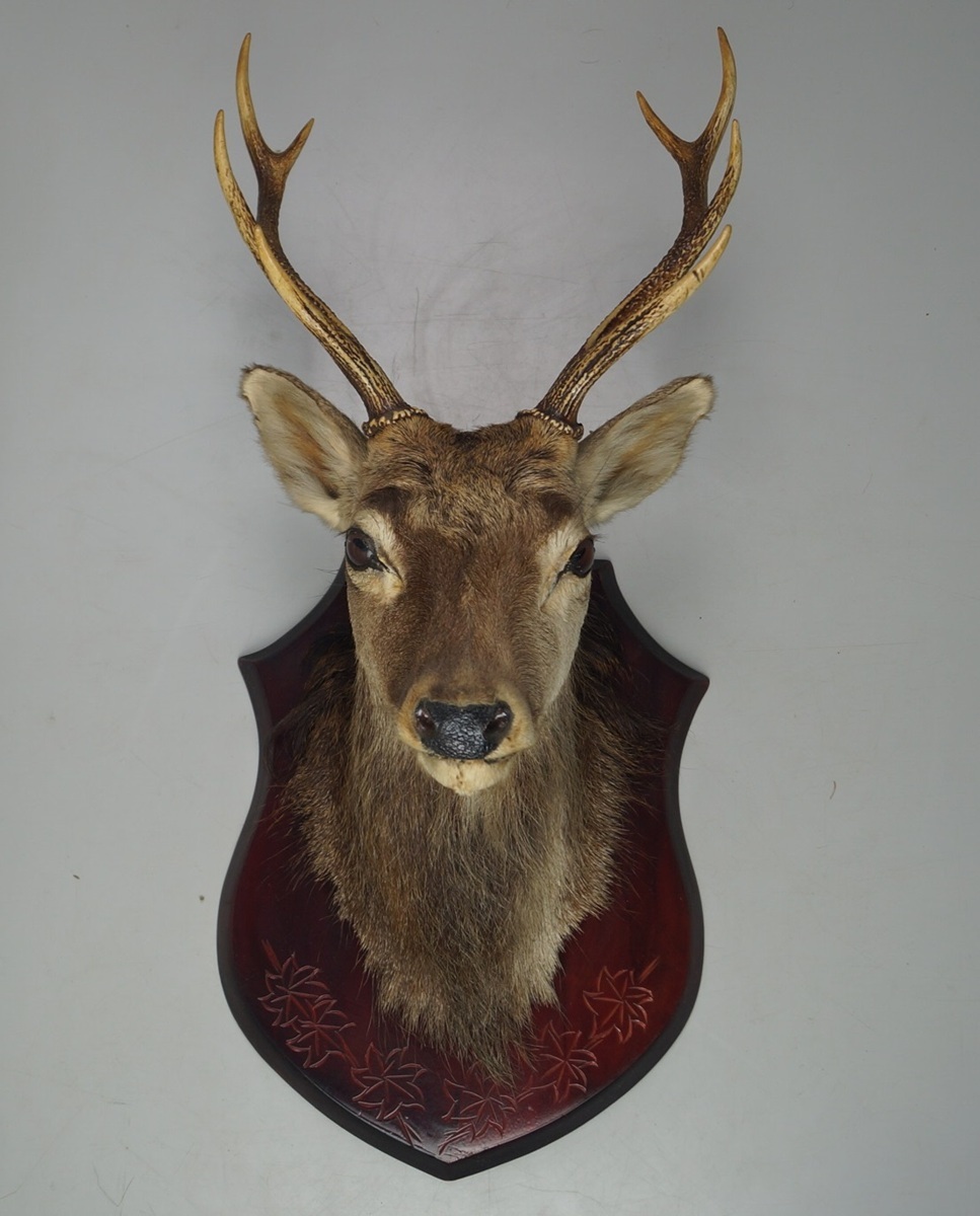 鹿 ぬいぐるみ デザフェス ハンティングトロフィー ハンドメイド