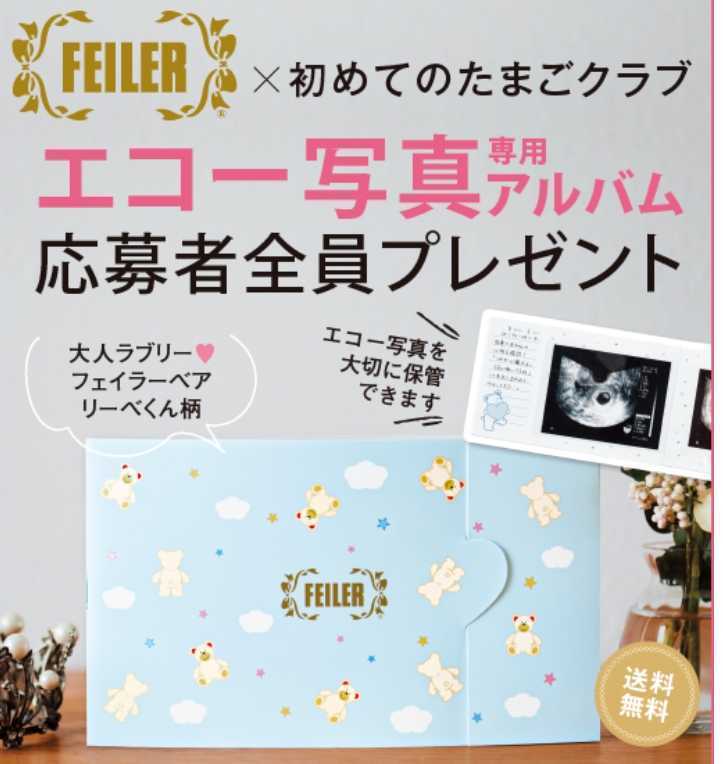 新品 即決 初めてのたまごクラブ フェイラー エコー写真アルバム 応募者全員プレゼントパスワード相互評価 送料無料ポイント の落札情報詳細 ヤフオク落札価格情報 オークフリー スマートフォン版