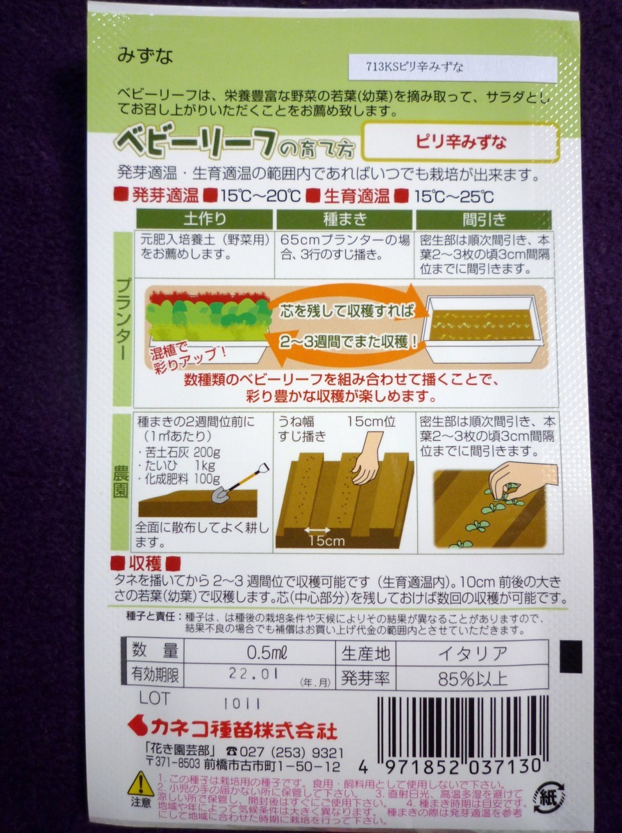 新品 種子 ピリ辛みずな ベビーリーフ カネコ種苗 21 12 わが家が 産地 の落札情報詳細 ヤフオク落札価格情報 オークフリー スマートフォン版