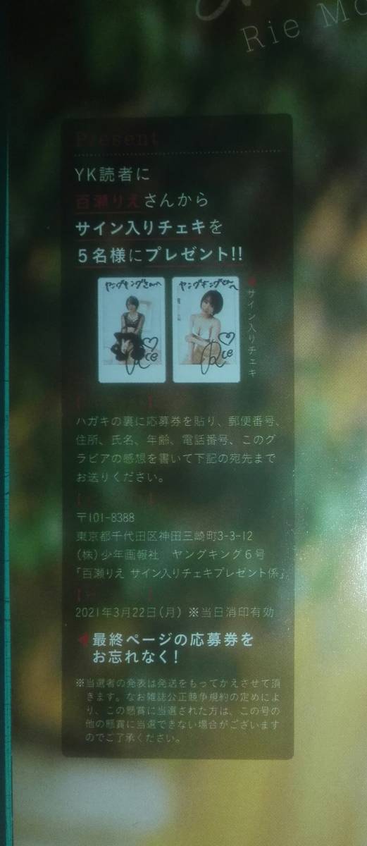 新品】□5枚セット□応募券 ヤングキング 6号 百瀬りえ サイン入り  