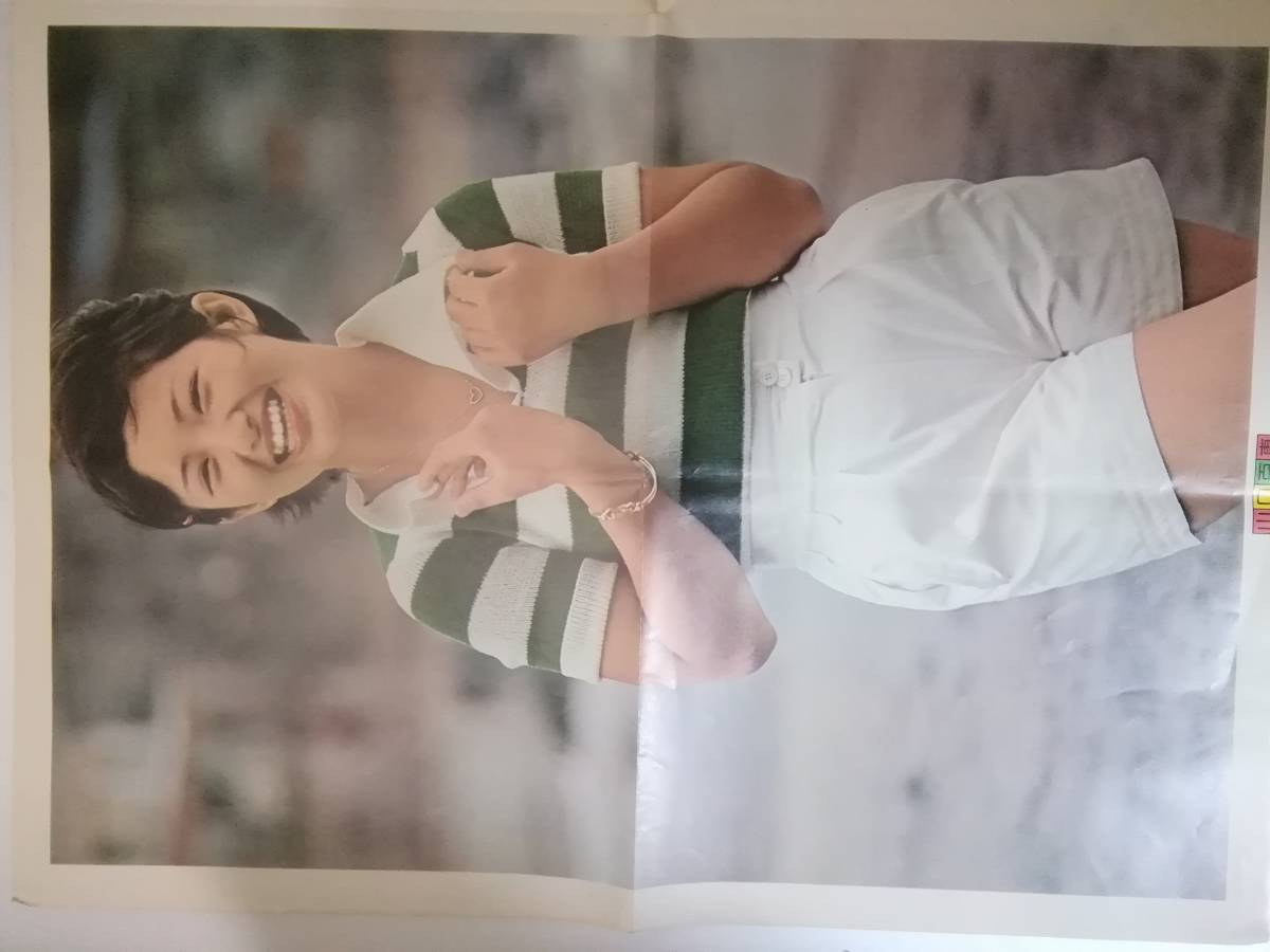 明星 1974 ７月号 表紙 山口百恵 郷ひろみ 大ポスター 山口百恵 アグネスチャン 郷ひろみ 付録 明星 Myojo Www Nestorscapes Com
