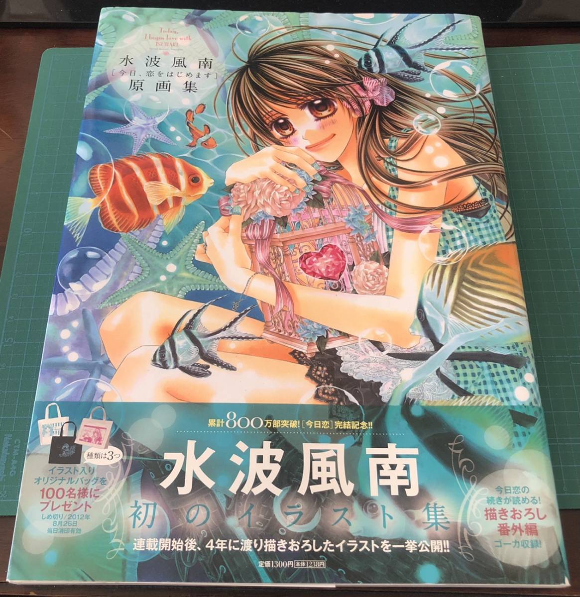 水波風南 今日 恋をはじめます 原画集 原画集 イ ラストブック 帯付き の落札情報詳細 ヤフオク落札価格情報 オークフリー スマートフォン版