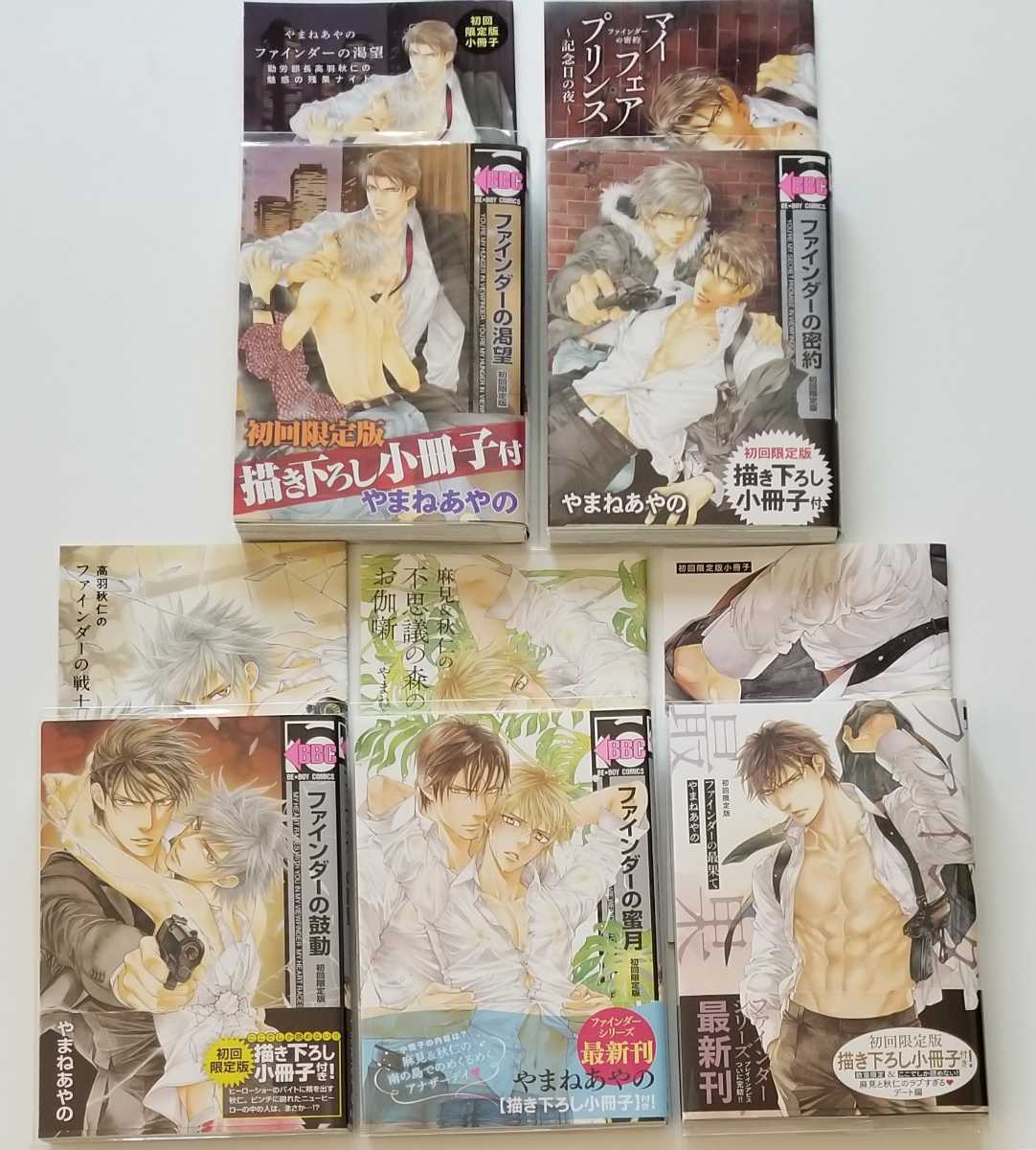 ファインダーの隻翼　ANiMiX ANiMiX「ファインダーの隻翼」DVD（原作：やまねあやの