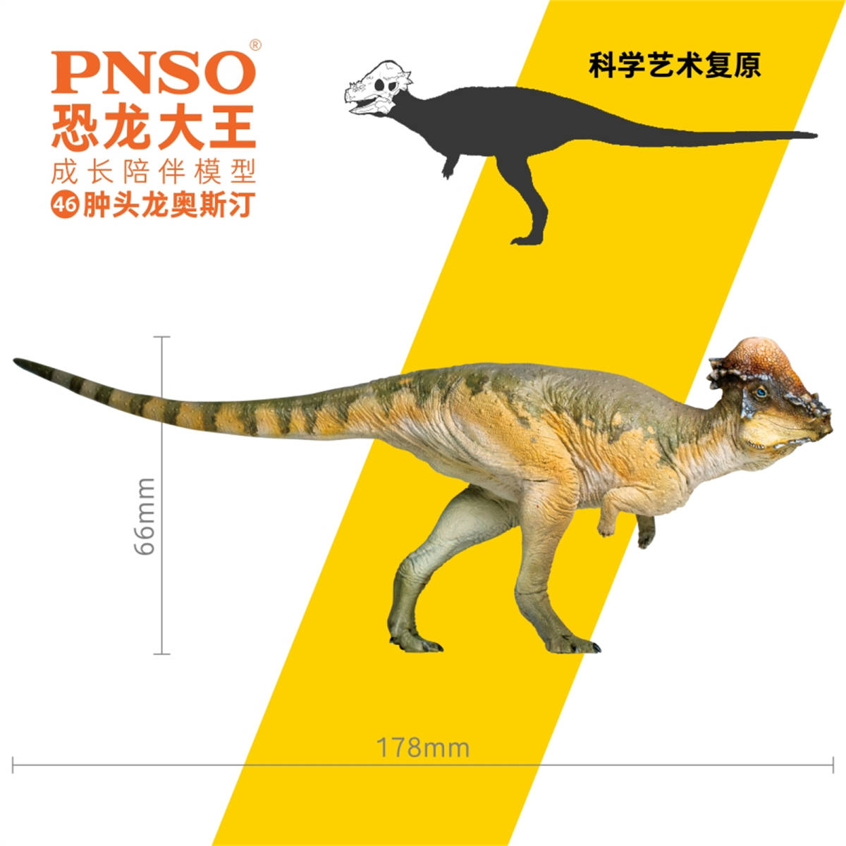 新品 Pnso 成長シリーズ パキケファロサウルス 恐竜 動物 フィギュア プラモデル おもちゃ 模型 Pvc 恐竜好き 誕生日 プレゼント 17 8cm級 の落札情報詳細 ヤフオク落札価格情報 オークフリー スマートフォン版