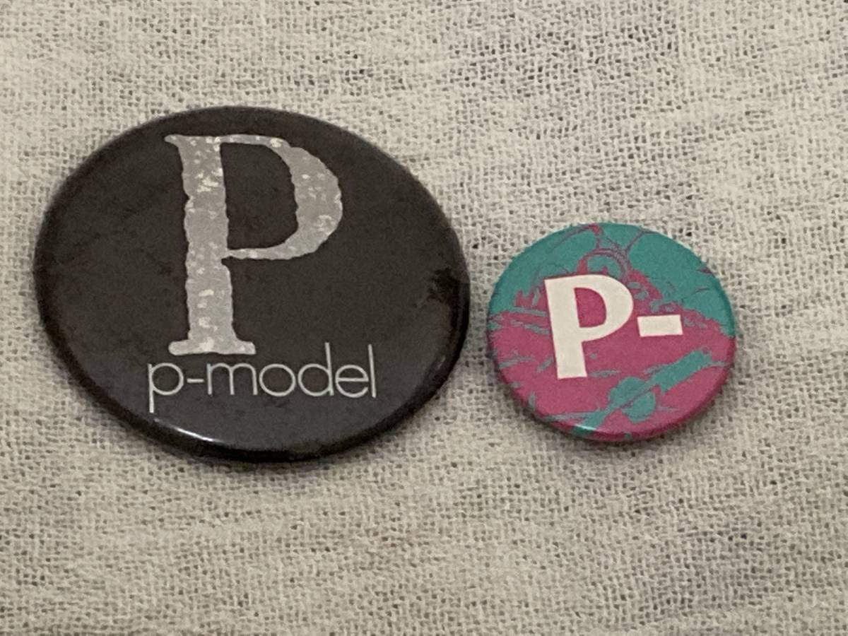 平沢進&P-MODEL関連CD45枚 まとめ売り＋オマケ★バラ売り値下げ不可 平沢進&P-MODEL関連CD45枚 まとめ売り＋オマケ☆バラ売り不可