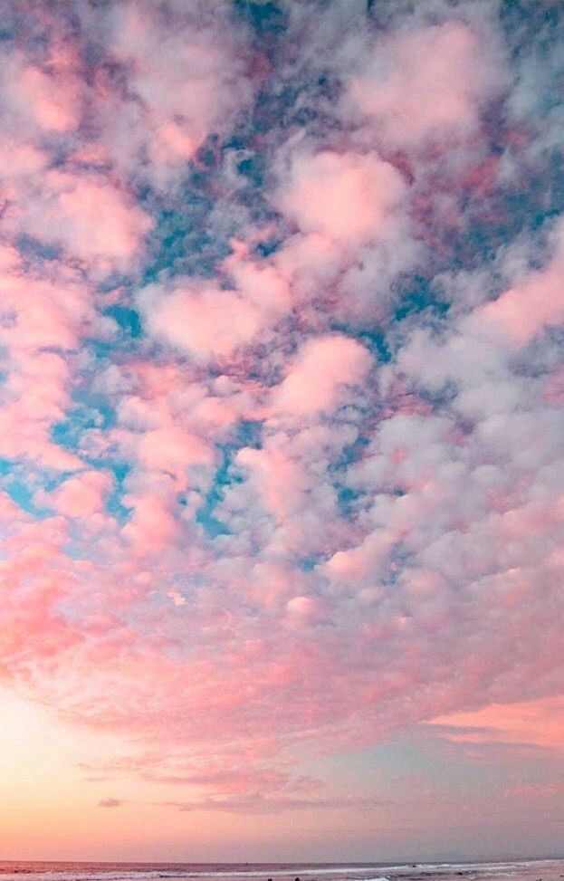 新品】1円 フリー素材 画像データ 画像 空 朝焼け 夕暮れ SKY 海 SAE 