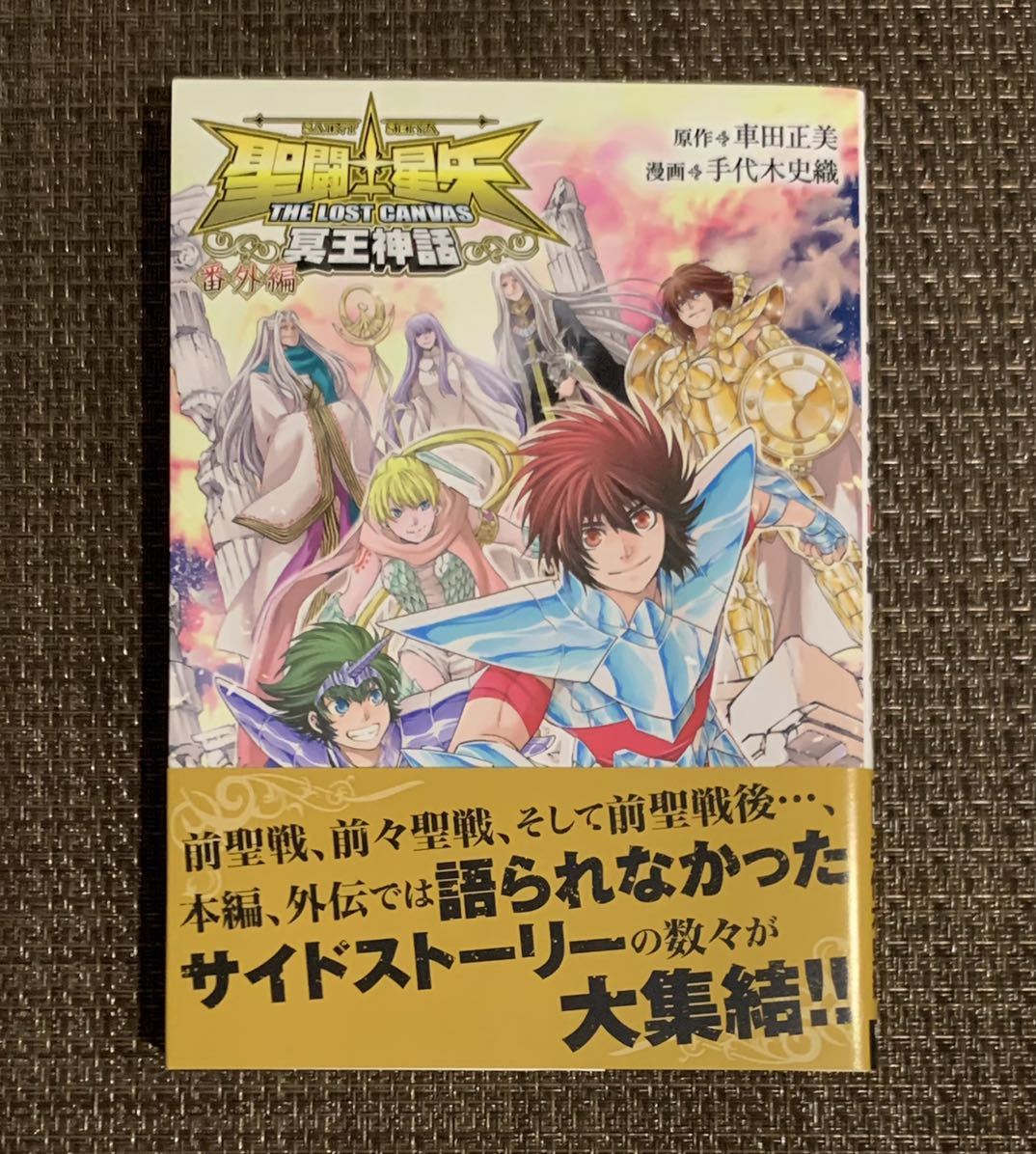 新品 聖闘士星矢 The Lost Canvas 冥王神話 番外編 1冊 の落札情報詳細 ヤフオク落札価格情報 オークフリー スマートフォン版
