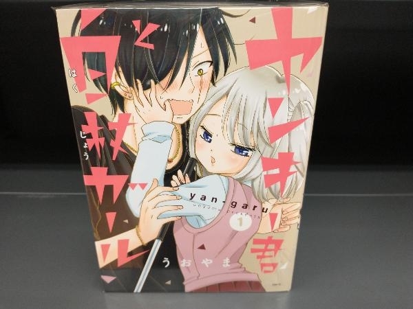1 5巻セット ヤンキー君と白杖ガール うおやま の落札情報詳細 ヤフオク落札価格情報 オークフリー スマートフォン版