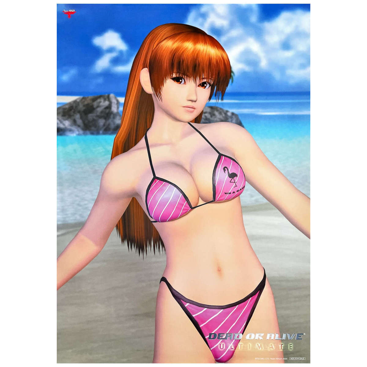 アニメ ゲーム ポスター Dead Or Alive Ultimate デッド オア アライブ 水着 の落札情報詳細 ヤフオク落札価格情報 オークフリー スマートフォン版