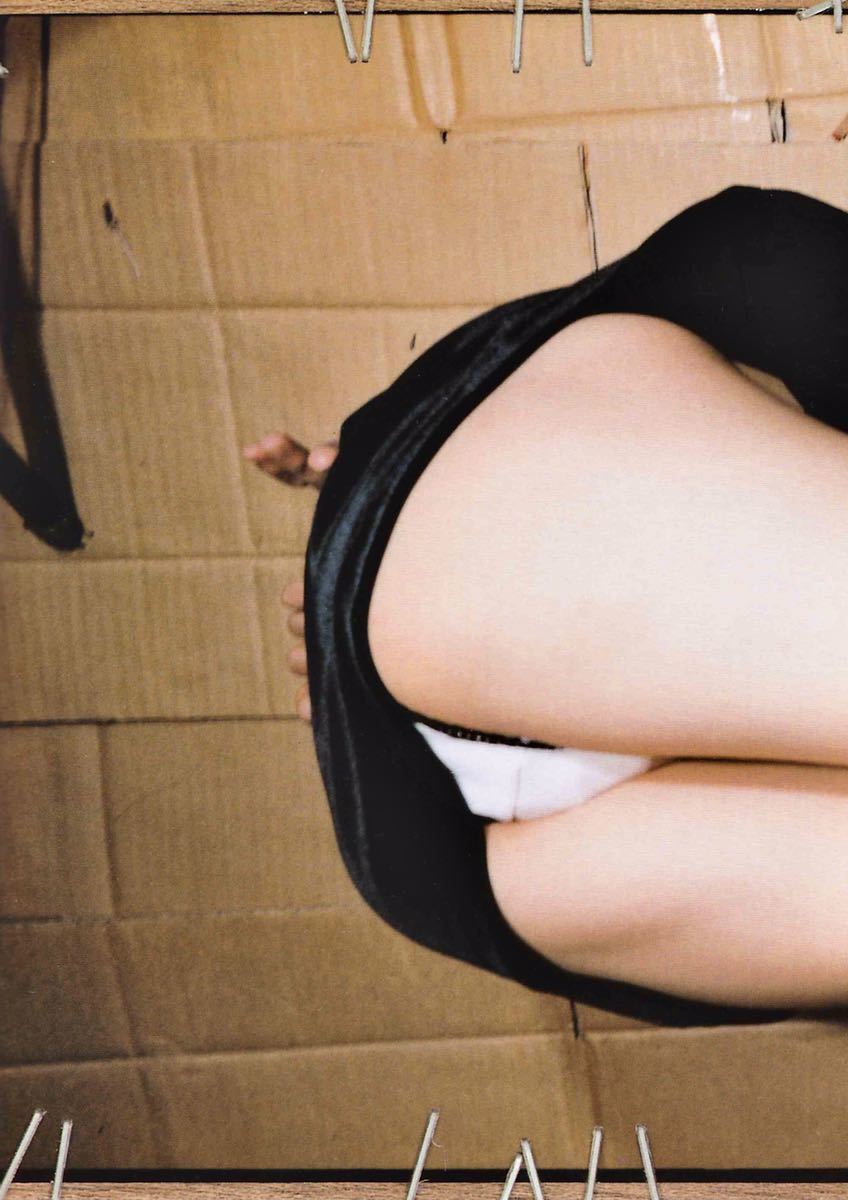 傷や汚れあり】写真集◎山口紗弥加『月刊山口紗弥加』＊平綴じ本｜緊縛SEXYピクトリアル｜ミニスカ捲り上げ｜パンティ露出｜恍惚フェイス｜VC-9055の落札情報詳細  - ヤフオク落札価格検索 オークフリー