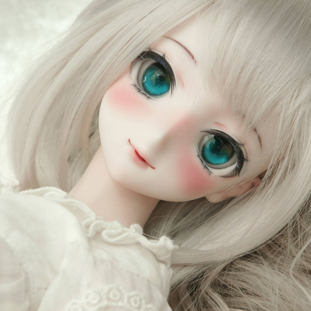 ddh29 セミホワイト カスタムヘッド MDD アイセット ディーラー様作