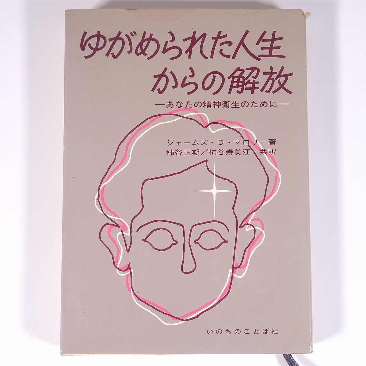 21世紀・聖書註解シリーズ マタイの福音書註解 中澤啓介 著