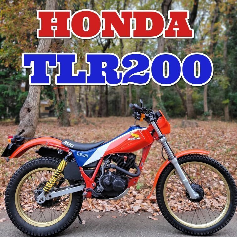 実動 レア車両 HRC 正規車両 2スト 希少 TLR260R トライアル ホンダ