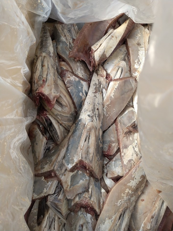 【西水】★カツオハラモ・5kg.鮮度抜群・キンメ鯛、アコウ、オコゼ、ガシラ、黒ムツ類他・底魚釣り餌に！！ 西水☆カツオハラモ、ハラス・5kg入り.焼き食美味、鮮度抜群・アコウ