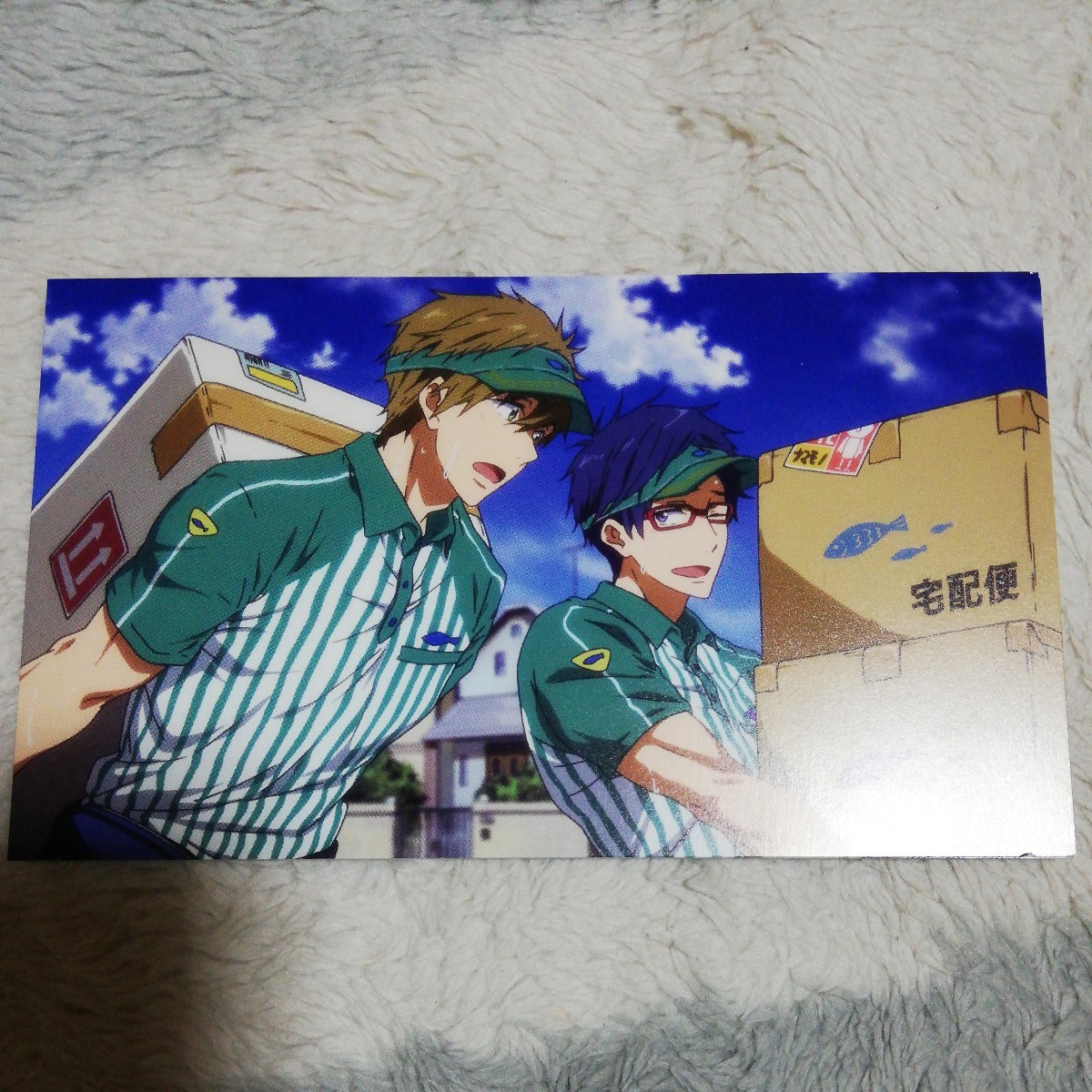 目立った傷や汚れなし】6 ポストカード Free! 遙 橘 真琴 松岡 凛 桐嶋