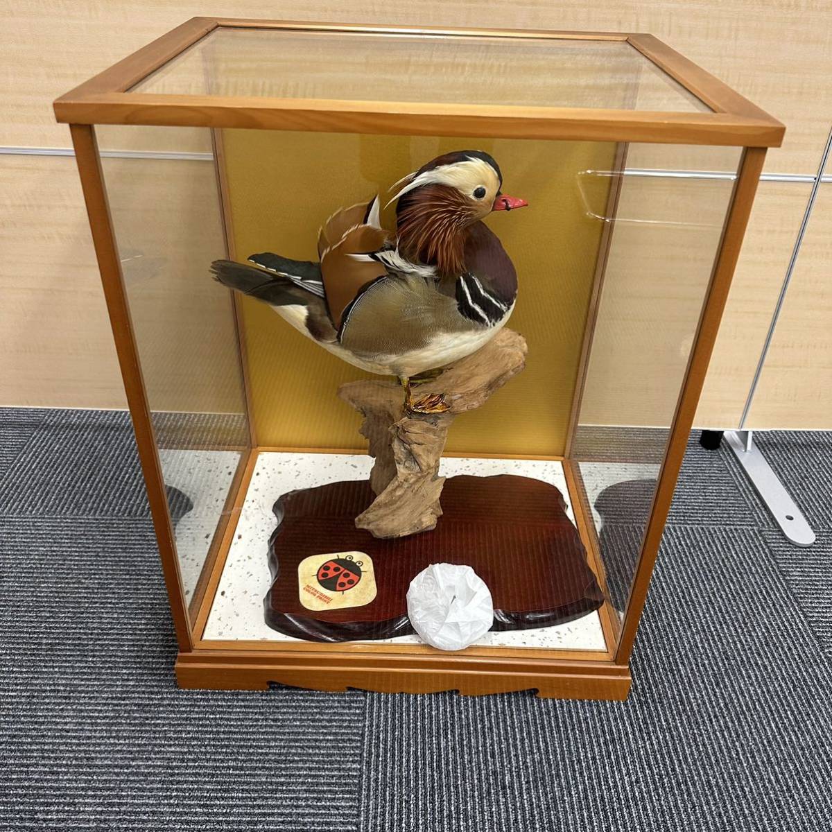 おしどり　つがい　剥製　縁起物 2025年最新】剥製 オシドリの人気アイテム - メルカリ