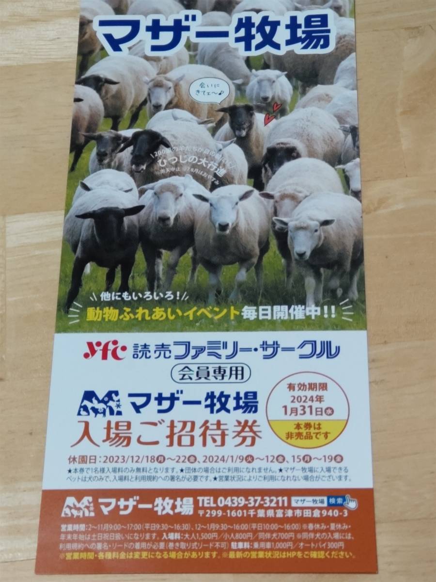 ひつじさんご専用 ひつじや ONLINE SHOP ひつじさんご専用
