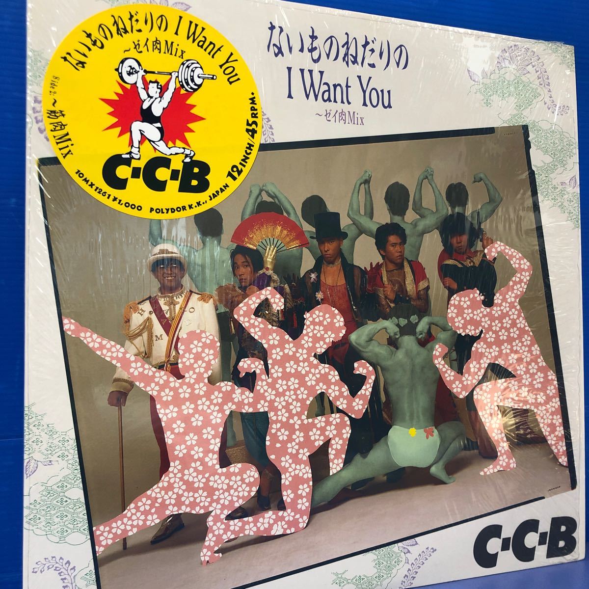 C-C-B 写録＆語録 コミック ザ カメラボーイ ☆渡辺英樹 関口誠人 笠