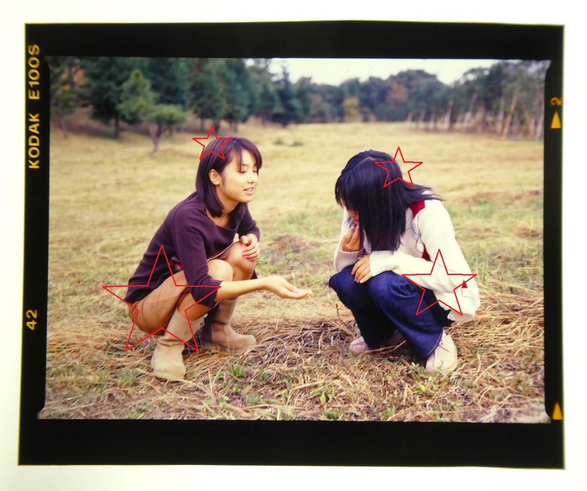 未使用】池脇千鶴＆内山理名 ポジフィルム 2カット 写真 美品の落札