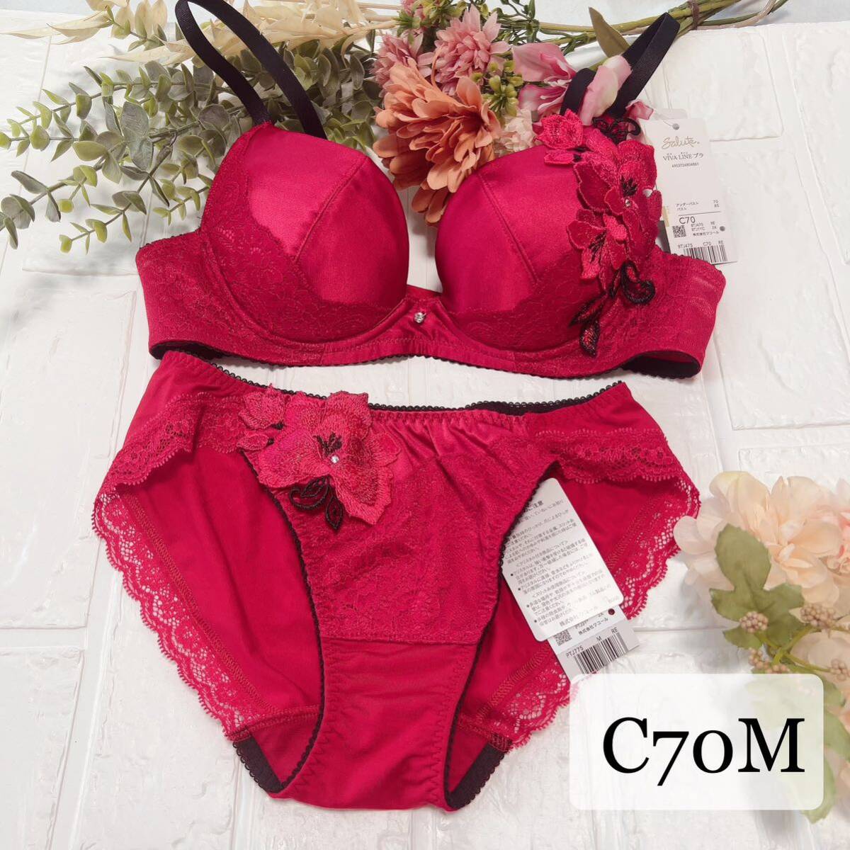 新品 ワコール サルート 76G 空中庭園 D75 ソングM WI