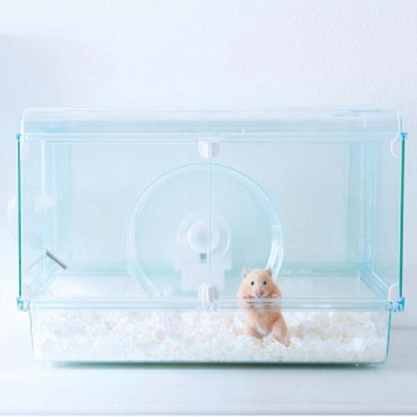 GEX グラスハーモニー600high ハムスターケージ 専用 【小物付き