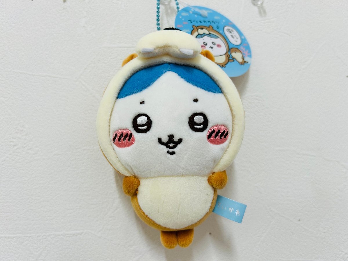 ちいかわ ハチワレ コツメカワウソなハチワレ マスコット ちいかわ水族館 新品 ちいかわ水族館 コツメカワウソなハチワレマスコット - メルカリ