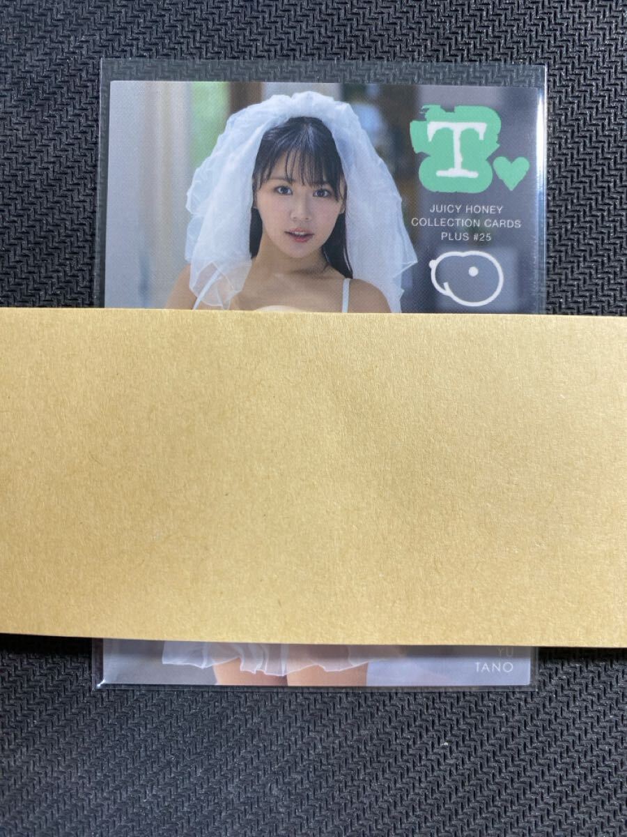 田野憂 