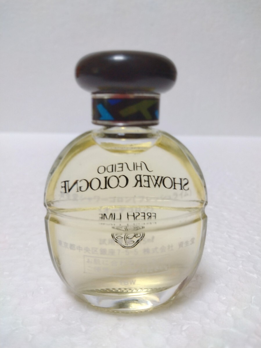 廃盤 希少 SHISEIDO 資生堂 ルポ メンズコロン 120ml 製造中止 貴重な