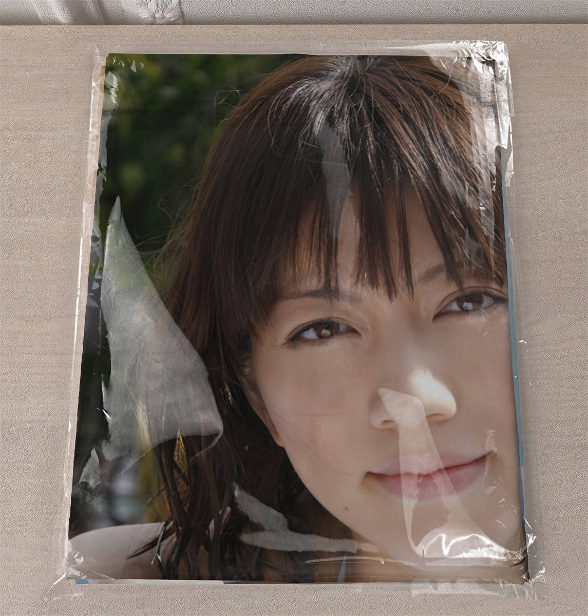 ▲限定１名様▲女子アナ▲大江麻理子▲切り抜きクリアブック2冊 ◎限定1名様◎貴重◎女子アナ◎大江麻理子◎切り抜きクリア