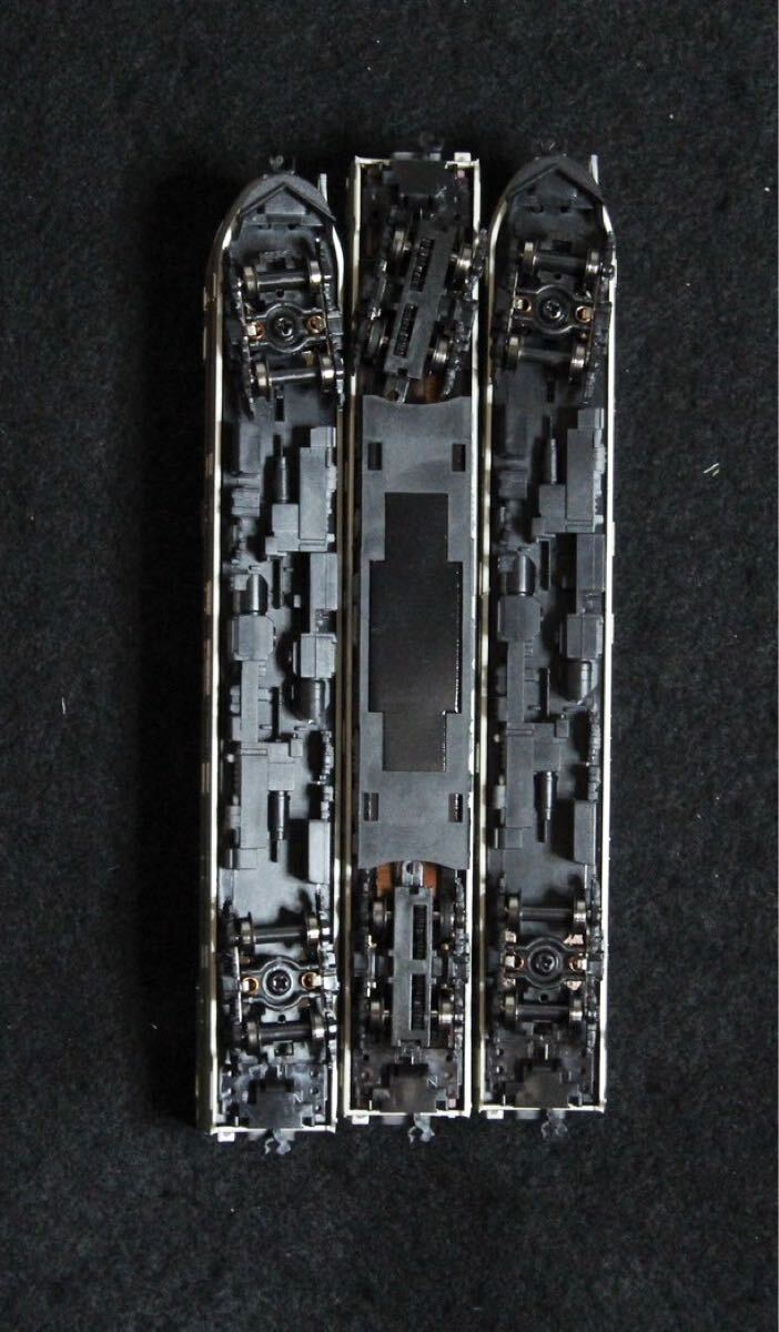 サボテン 多肉植物 256 エルクホーン錦 綴化 大きめ美苗 抜き苗 韓国苗