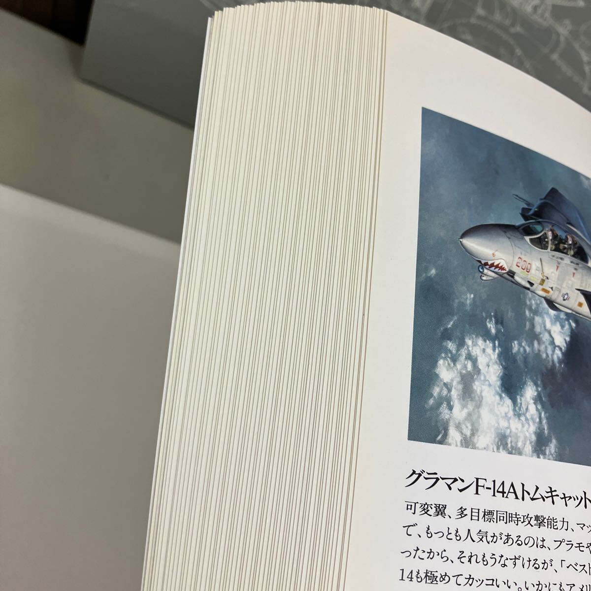 57788/毛利彰 イラストレーション 徳間書店 1991年 孤高の絵師