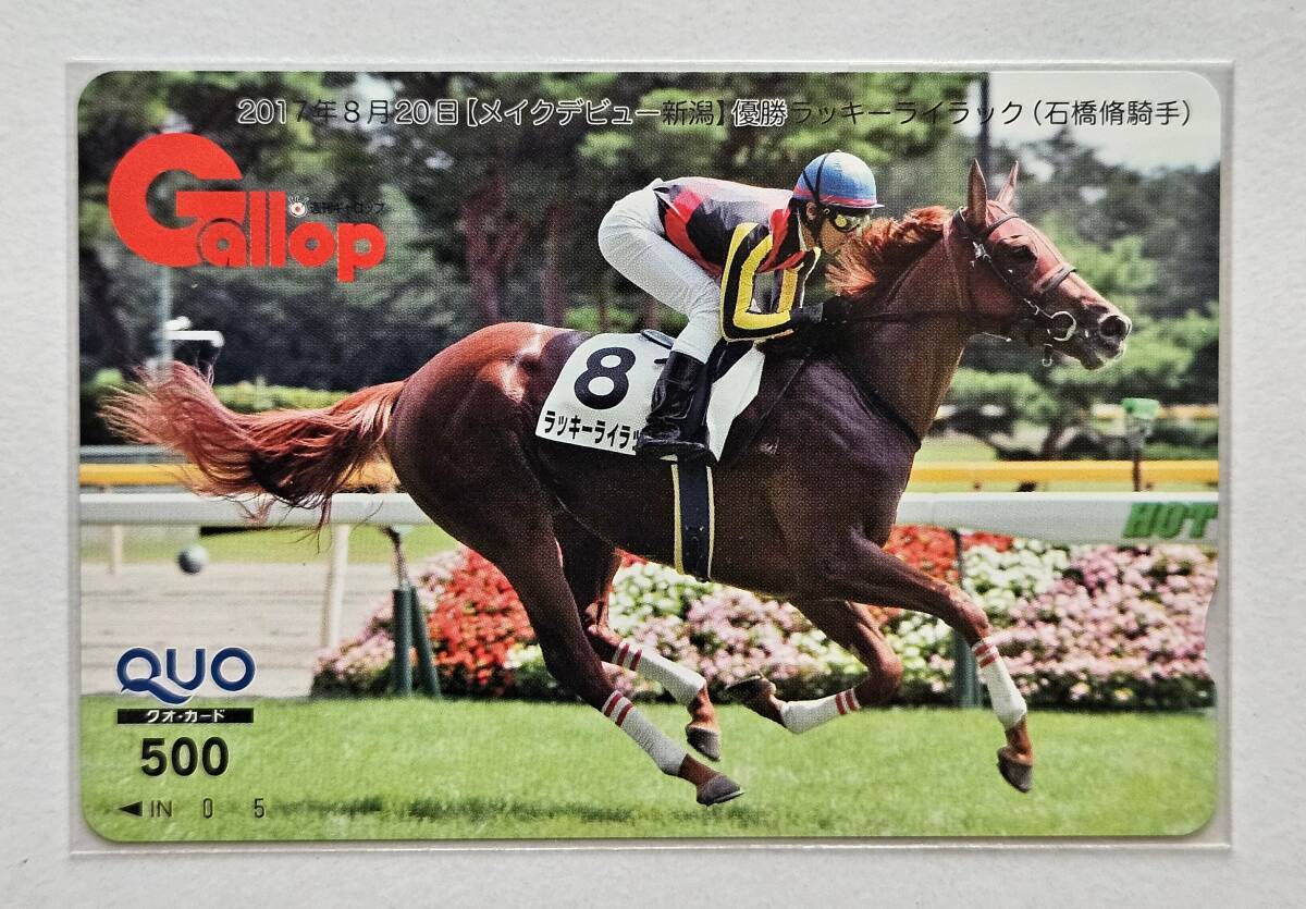 ラッキーライラック エリザベス女王杯 アイドルホース 競馬 ぬいぐるみ ウマ娘 ラッキーライラック エリザベス女王杯 アイドルホース 競馬