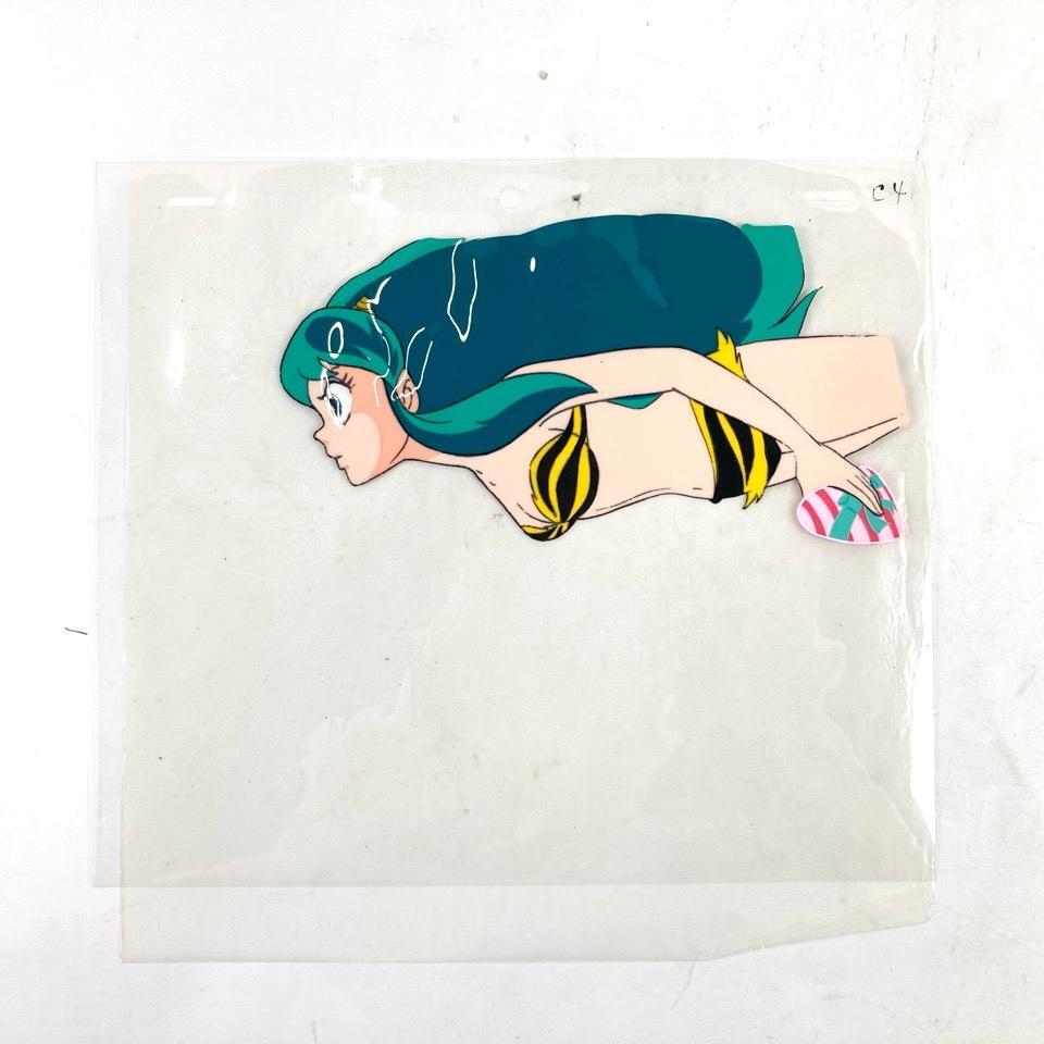 はしれ とっきゅう 小学館 フォト絵本13 はしれ とっきゅう フォト絵本