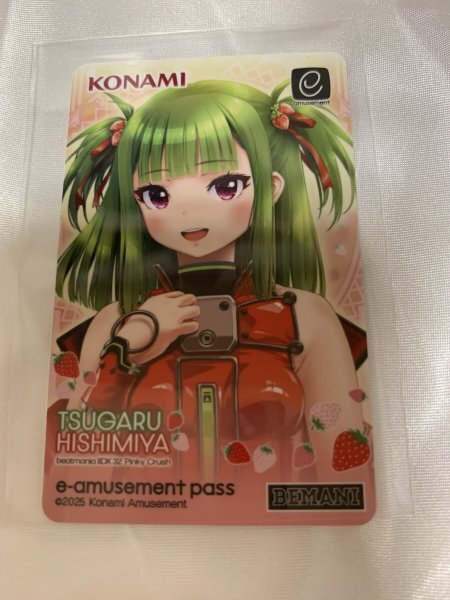 beatmania IIDX 19 の限定eパス　セリカ  エリカ 駿河屋 -<中古>エリカ＆セリカ e-amusement passカード