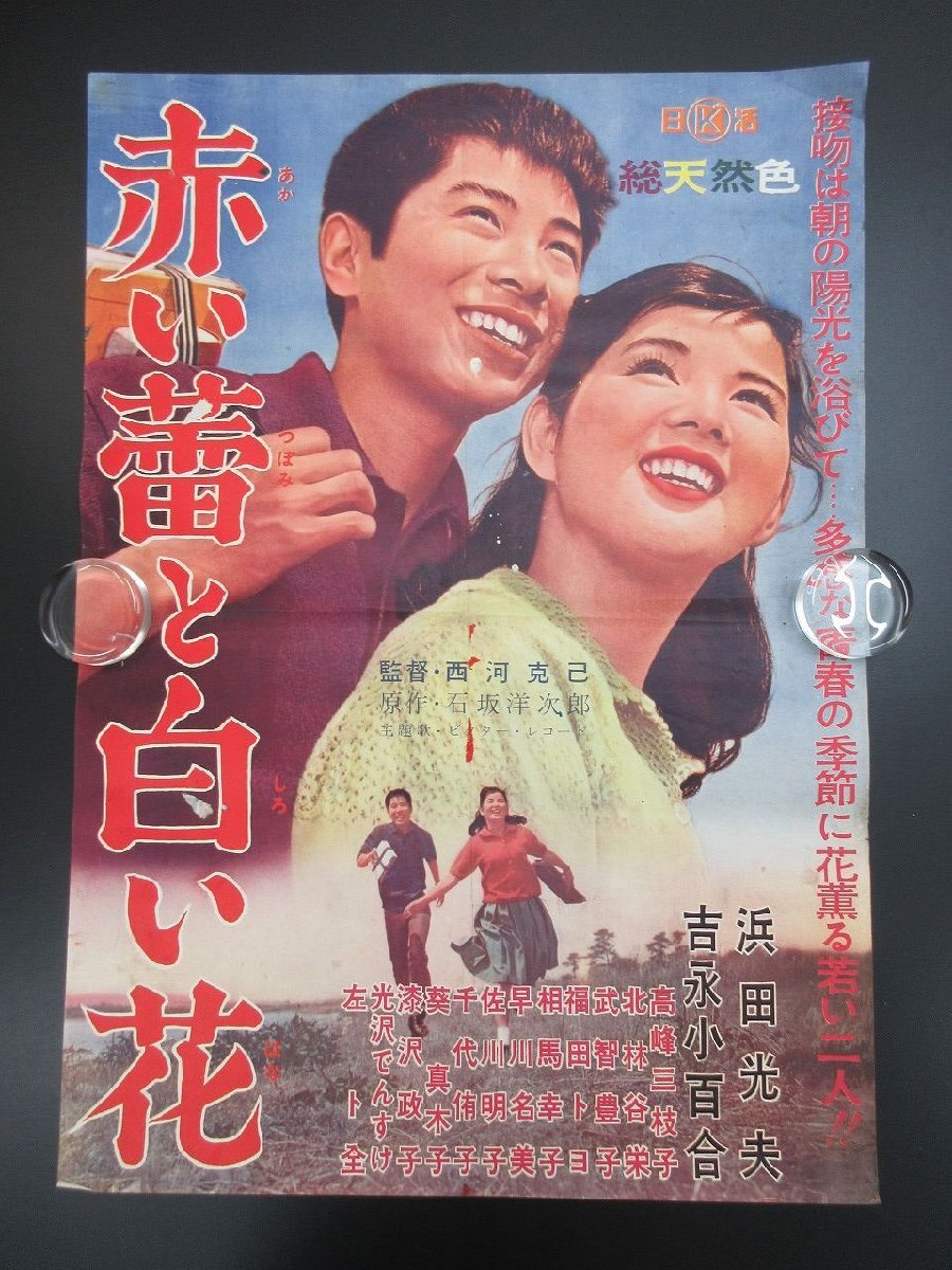 購入前確認 DVD 光る海 中平康 吉永小百合 日活青春スター総出演 愛と